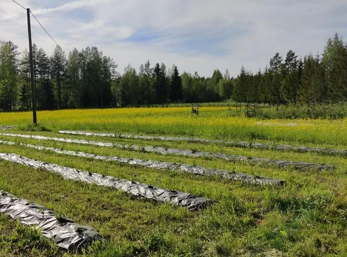 Haaran Torppa Çiftlik konaklama Mikkeli